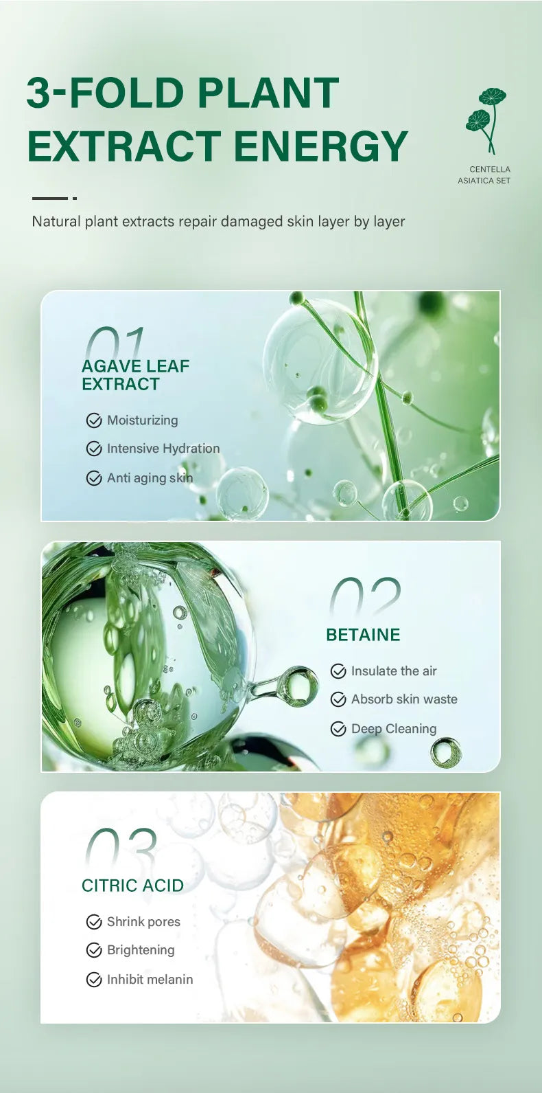Centella Asiatica Extract Natural Facial Skin Care